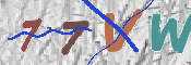 キャプチャ画像