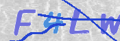 キャプチャ画像