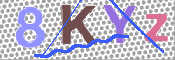 キャプチャ画像
