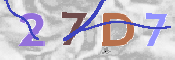 キャプチャ画像