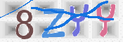 キャプチャ画像