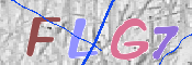 キャプチャ画像