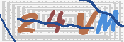 キャプチャ画像