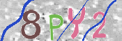 キャプチャ画像