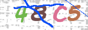 キャプチャ画像