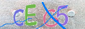 キャプチャ画像