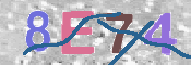 キャプチャ画像