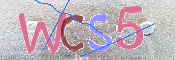 キャプチャ画像