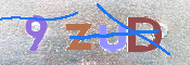キャプチャ画像