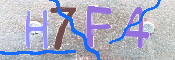 キャプチャ画像