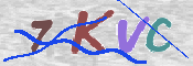 キャプチャ画像