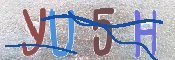 キャプチャ画像